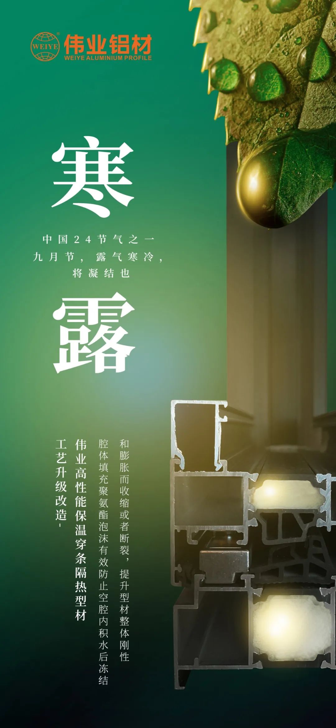 #寒露 九月节，，，，，，露气寒冷，，，，，，将凝固也 时光入深秋，，，，，，岁月便深情